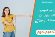 ما هو الهرمون المسؤول عن سمنة الذراعين؟
